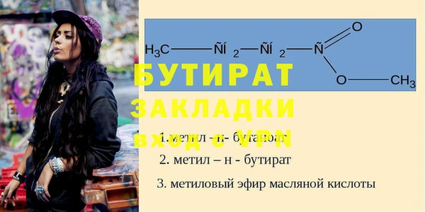 гидра Володарск