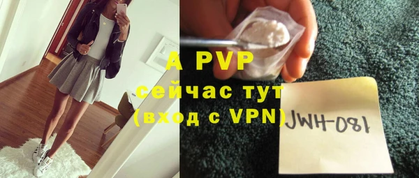 гидра Володарск