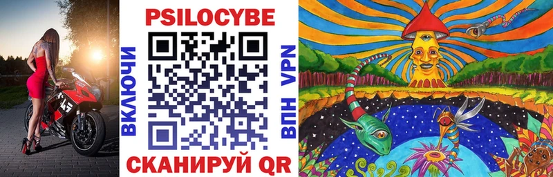 дарк нет Telegram  Дубовка  ссылка на мегу сайт  Псилоцибиновые грибы ЛСД  где продают наркотики 